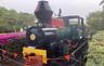 Mulgrave Mill No. 4 'Nelson' 0-4-2T+T